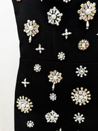 Stardust Constellation